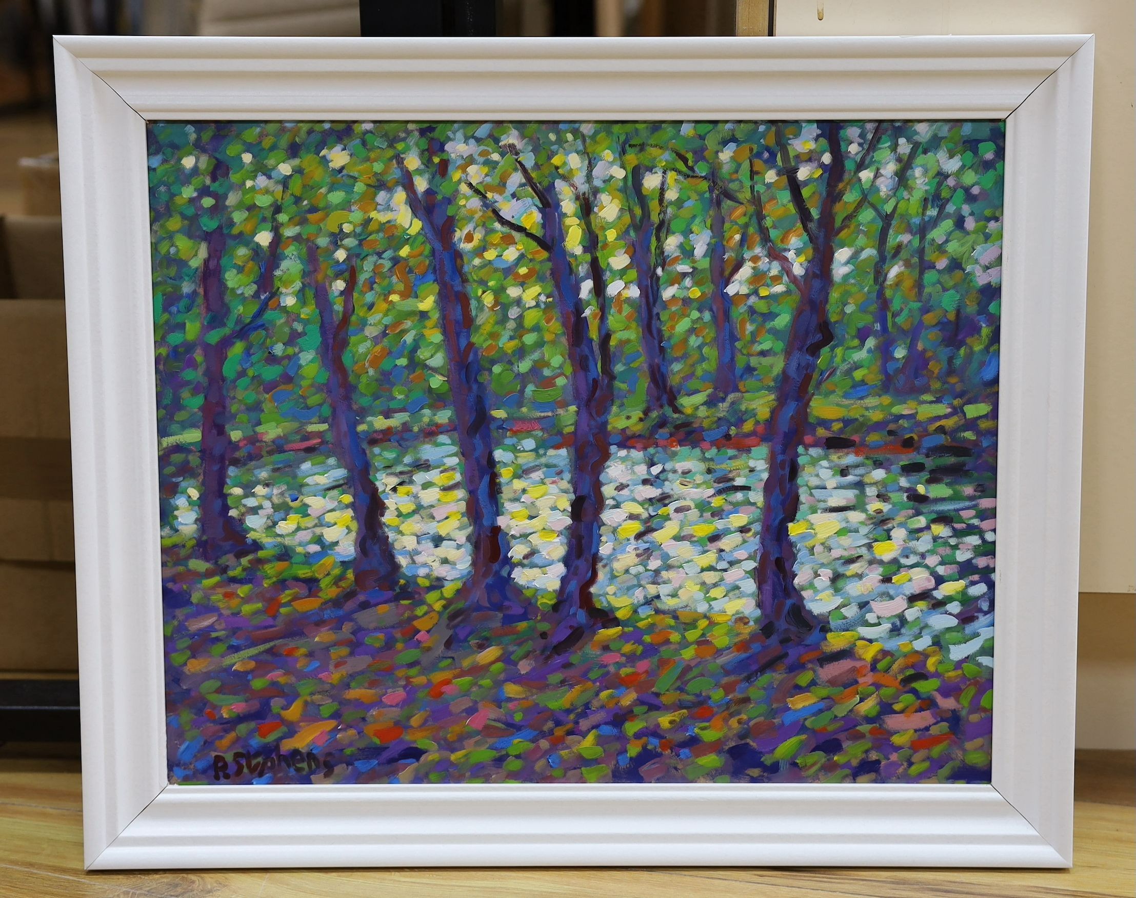 Paul Stephens (Contemporary), oil on board, 'Early morning sunrise in woods', signed, 40 x 50cm